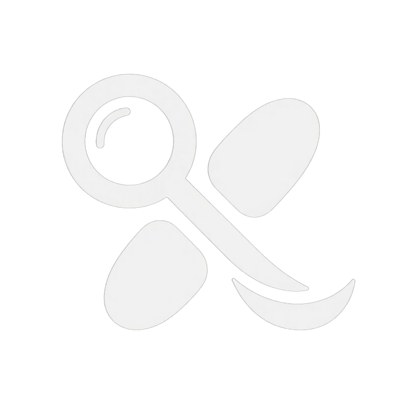 Xsou玄搜